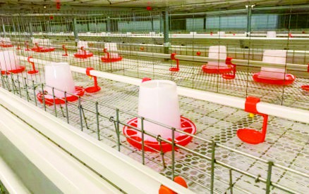 Sistem penahan pakan ditingkatkan dengan ketinggian lebih optimal