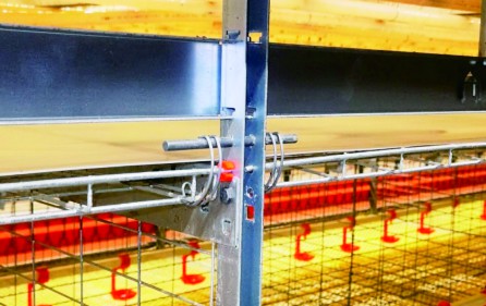 Pintu kandang dengan sistem pegas